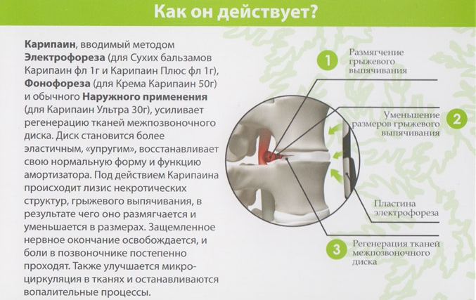 Действие Карипаина