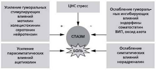 Действие спазмолитиков