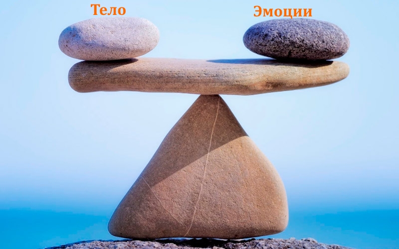 Гармония ума и тела
