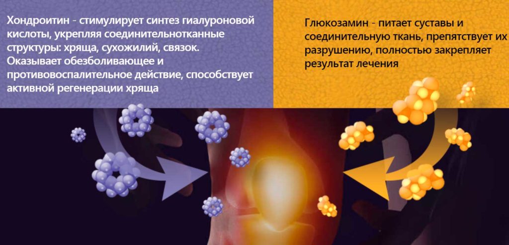 Хондроитин и глюкозамин 