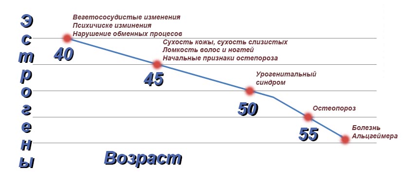 Остеопороз из-за снижения эстрогенов