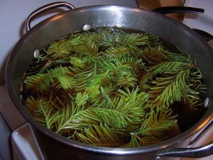 Хвойный отвар при артрите
