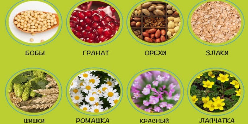 Источники фитоэстрогенов
