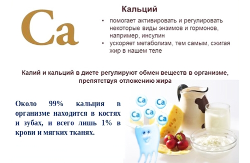 Роль кальция в организме