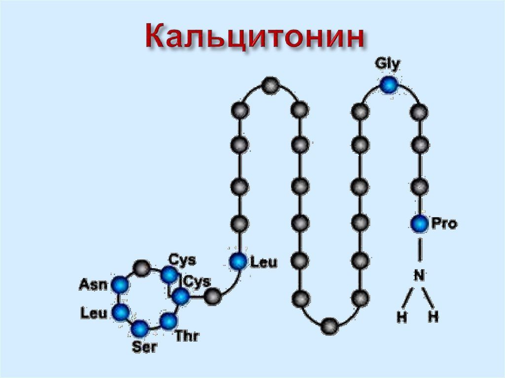 Кальцитонин — действующее вещество Микальцика
