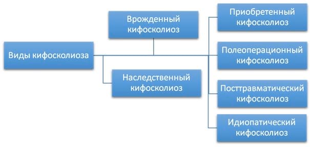 Типы кифосколиоза 