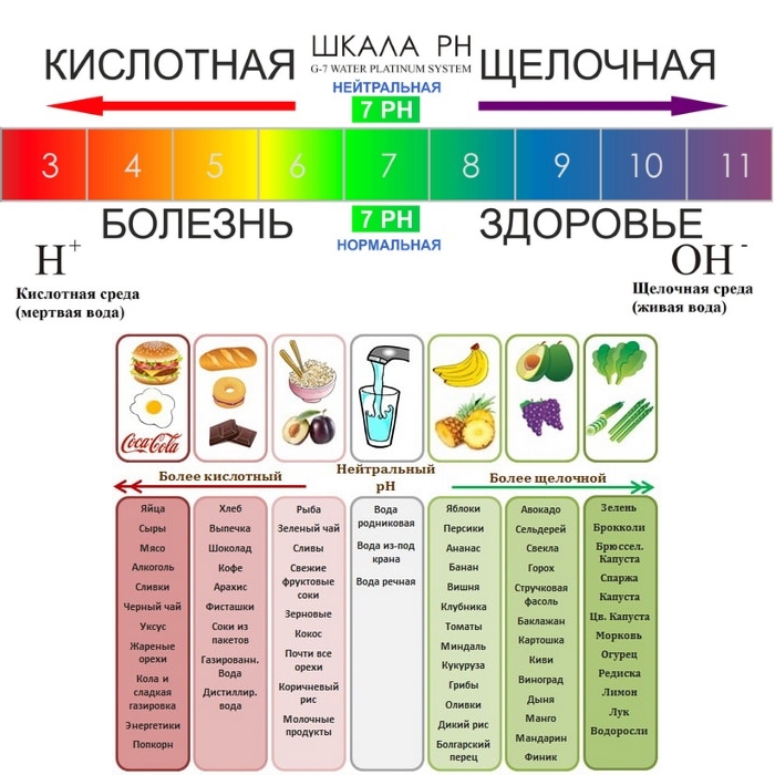 Кислотно-щелочной баланс организма