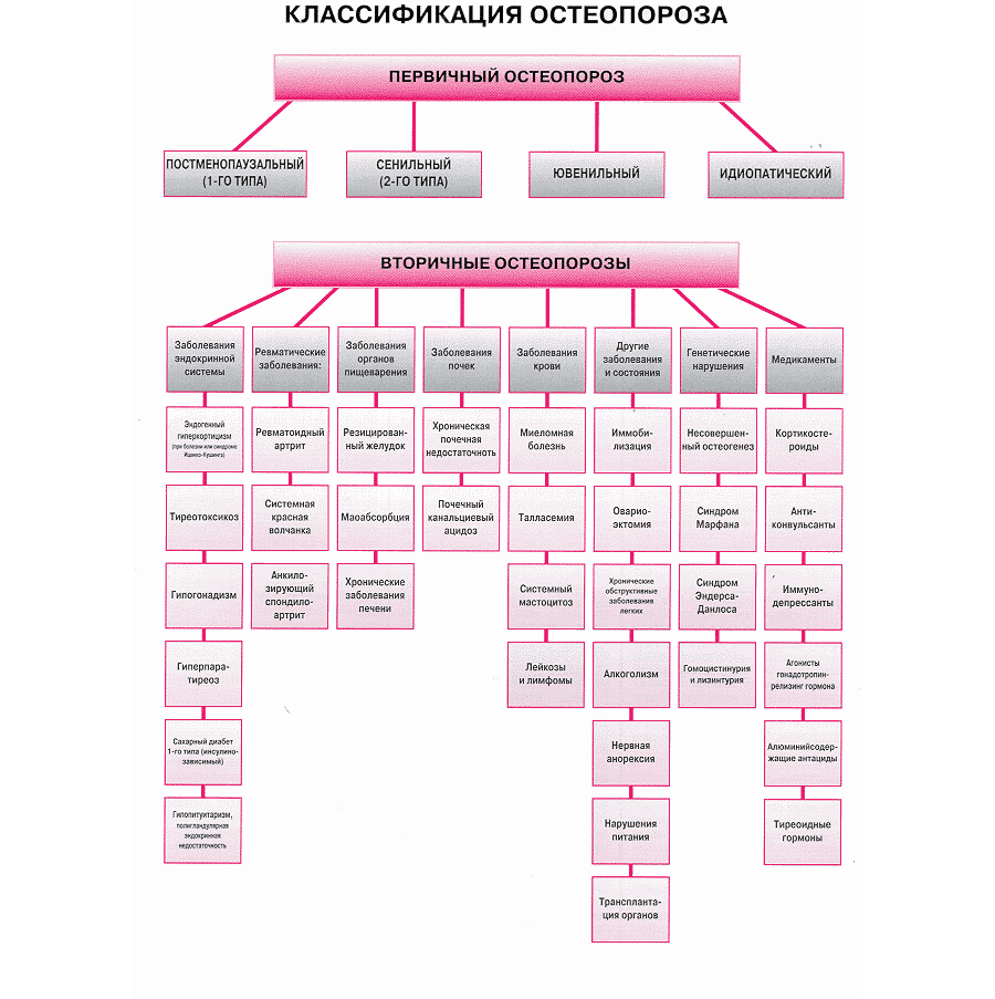 Классификация остеопороза