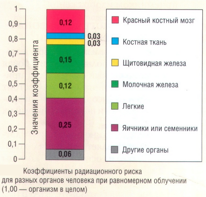Коэффициенты радиационного риска при рентген излучении