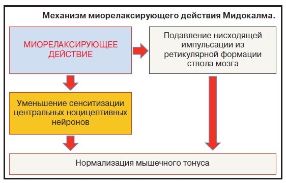 Механизм действия Мидокалма