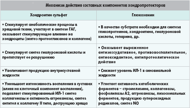 Механизм действия хондропротекторов