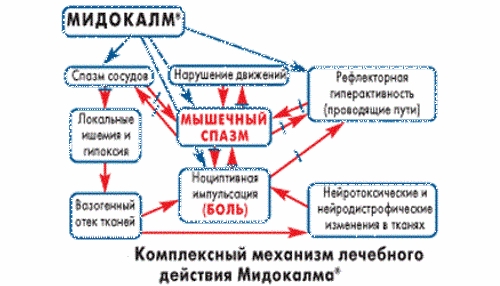 Действие препарата
