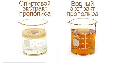 Настои прополиса
