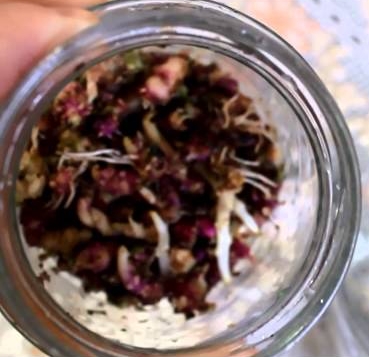 Настой из ростков картофеля