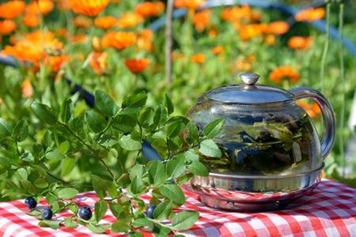 Чай из листьев черники