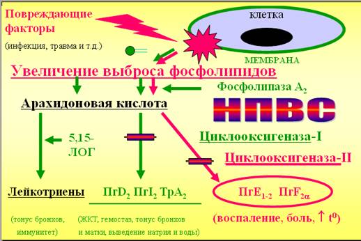 Действие НПВС при артрите