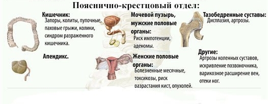 Органы около поясницы