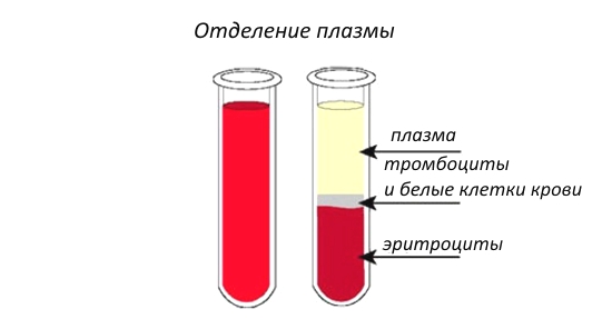 Отделение плазмы