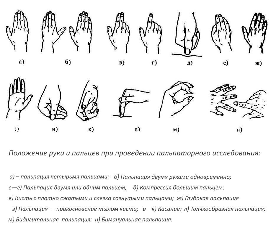 Пальпация