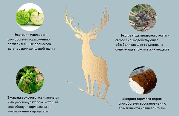 Действующие вещества геля Пантогор