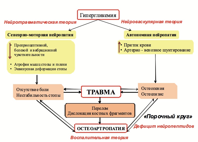 Патогенез диабетической остеоартропатии