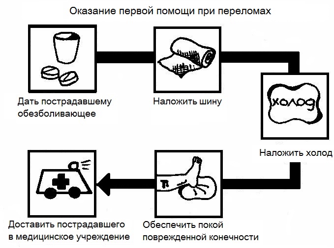 Оказание первой помощи