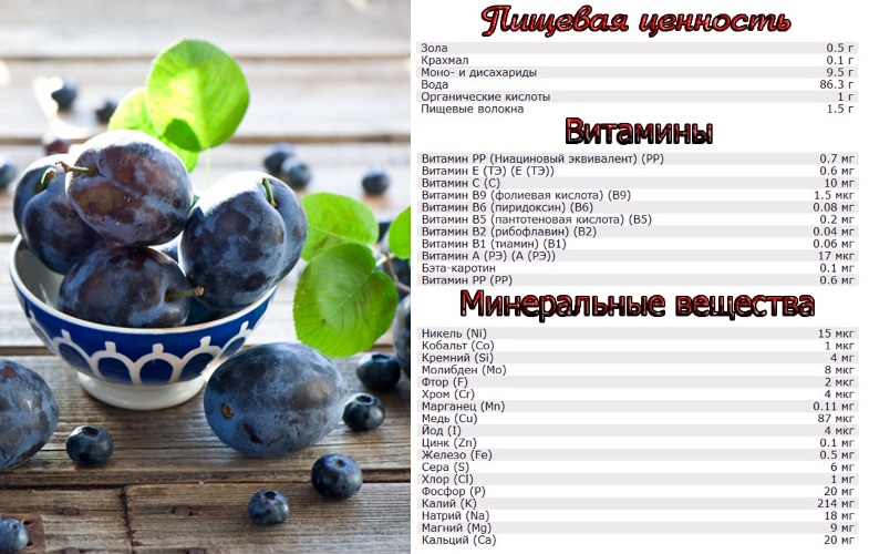 Пищевая ценность сливы
