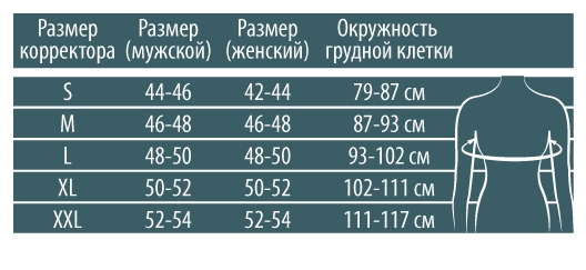 Подбор корректора осанки