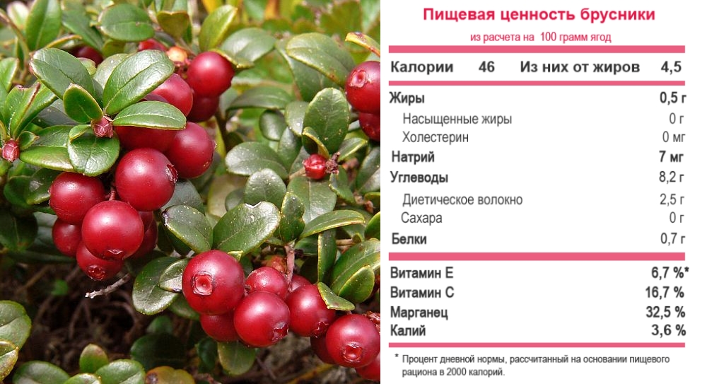 Полезный состав брусники