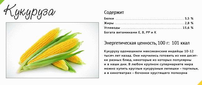 Полезный состав кукурузы