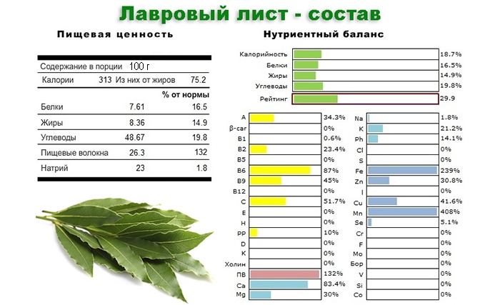 Полезный состав лаврового листа