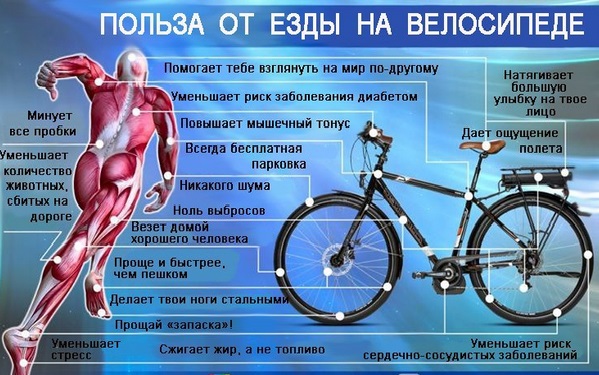 Польза от езды на велосипеде