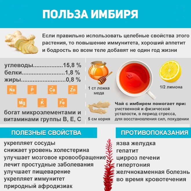 Польза имбиря 