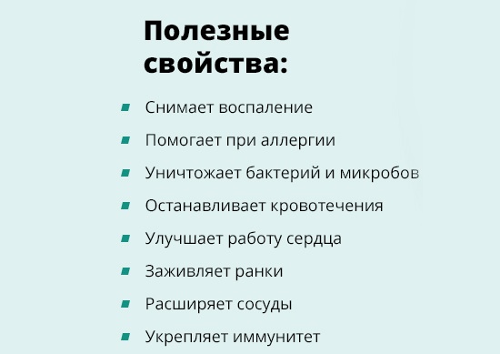 Польза каланхоэ