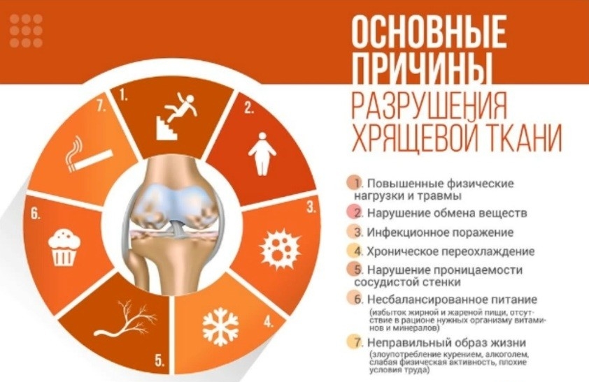 Причины разрушения хрящевой ткани