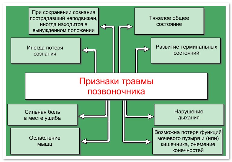 Признаки ушиба спины