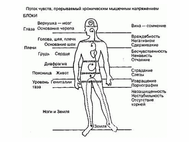 Психологическое напряжение и части тела