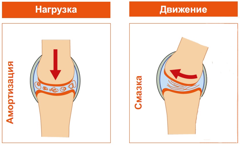 Улучшение смазки суставов