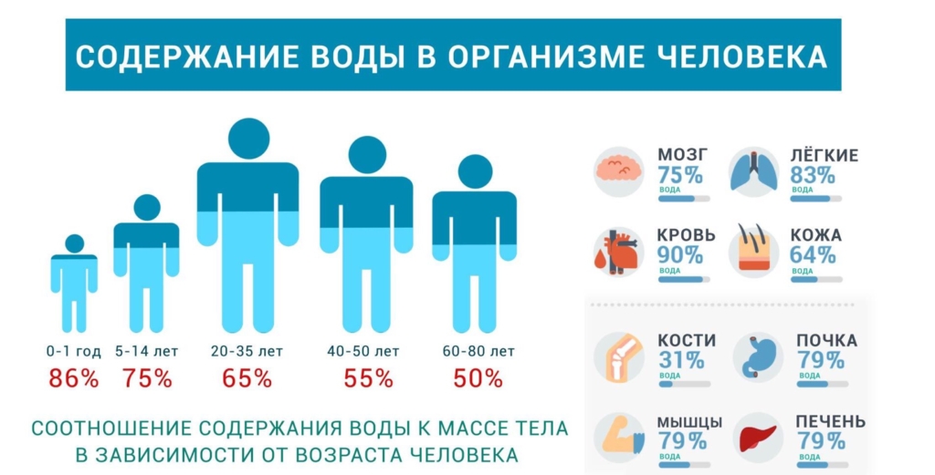 Соотношение воды с возрастом