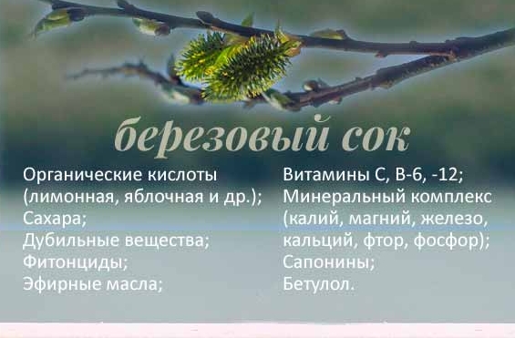 Состав березового сока