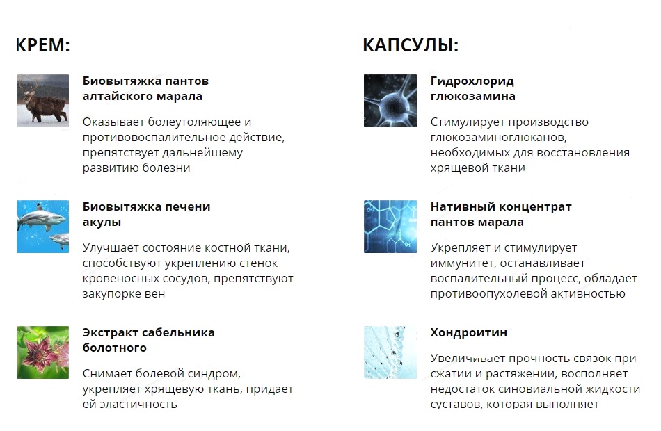 Состав крема и капсул Hondrolock