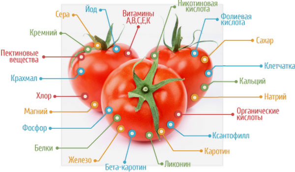 Состав томатов