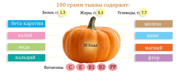 Полезный состав тыквы