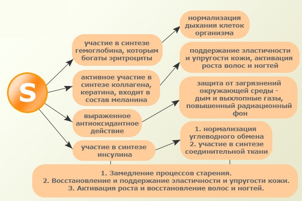 Свойства метилсульфонилметана или серы