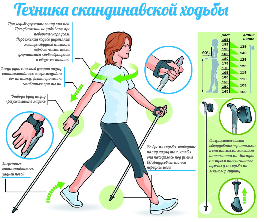 Техника скандинавской ходьбы
