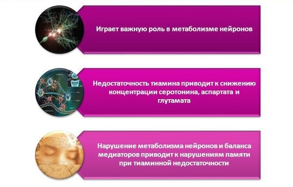 Свойства тиамина