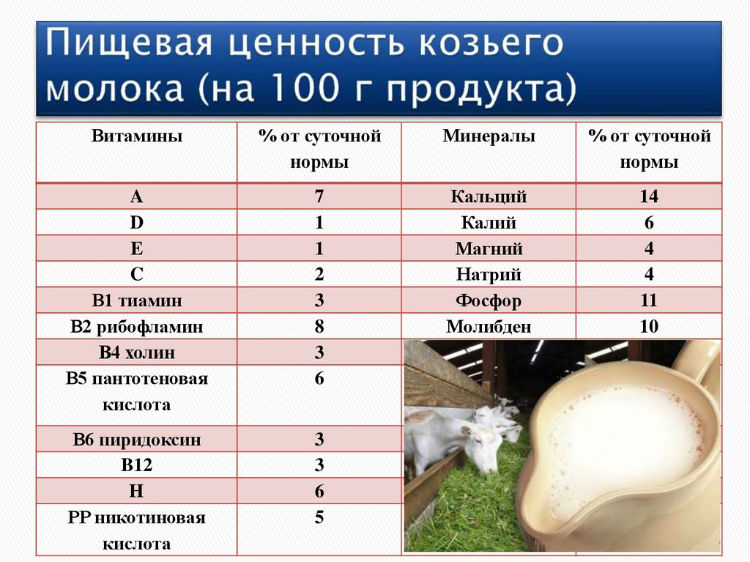 Пищевая ценность козьего молока