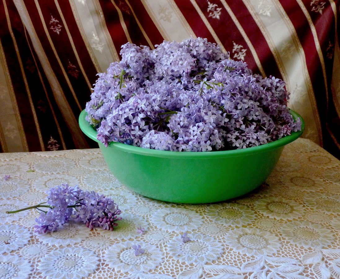 Заготовка сырья