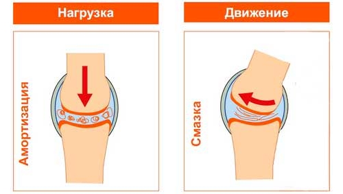 Улучшение амортизации суставов