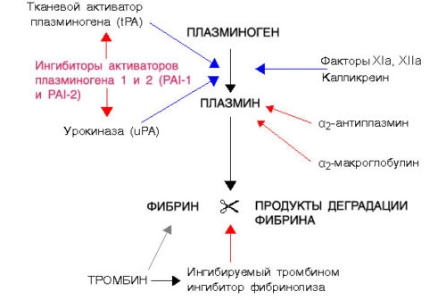 Уменьшение активности ингибиторов плазмина